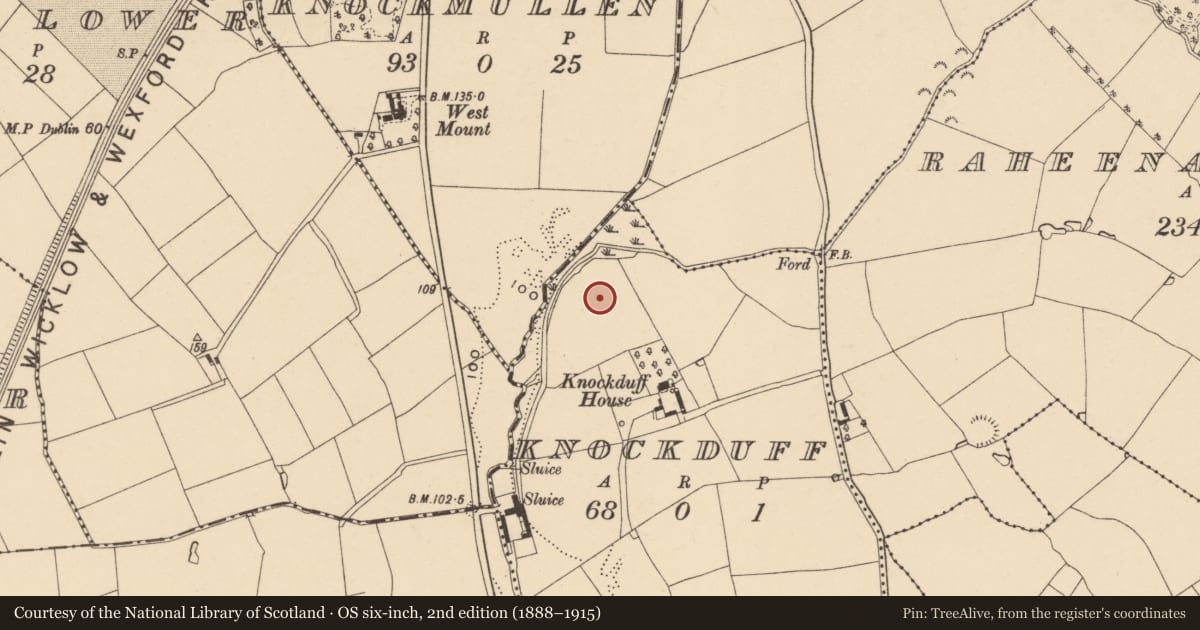 Ordnance Survey six-inch map, 2nd edition (1888–1915) covering the location of Enclosure, Knockduff, County Wexford, with a pin at the register's coordinates