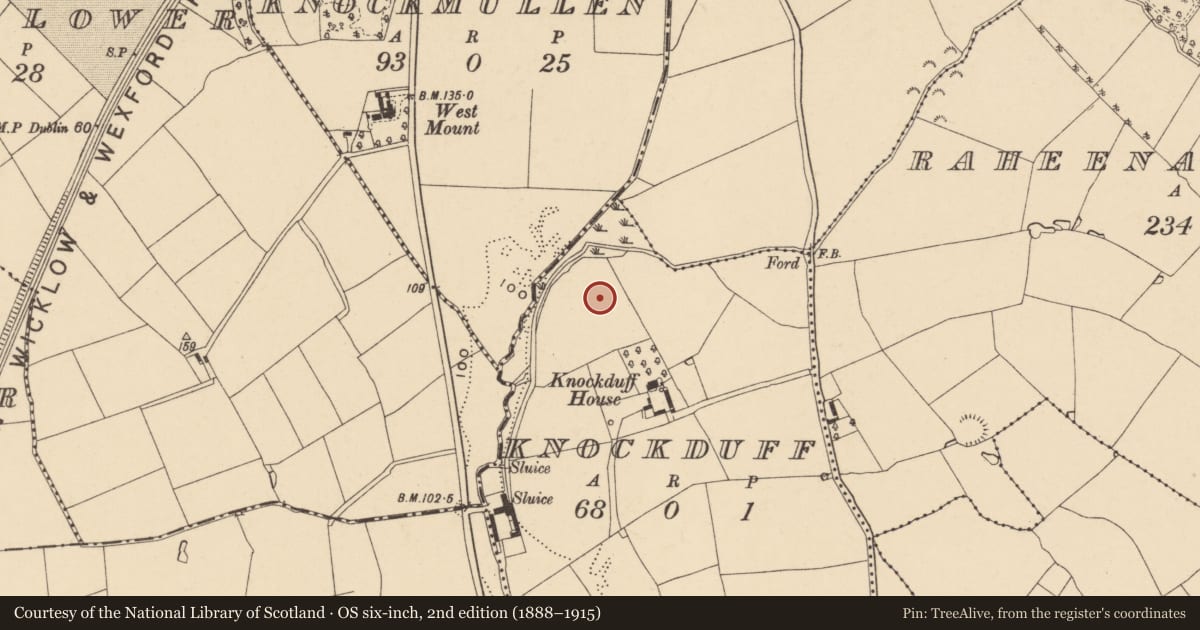 Ordnance Survey six-inch map, 2nd edition (1888–1915) covering the location of Ring-ditch, Knockduff, County Wexford, with a pin at the register's coordinates