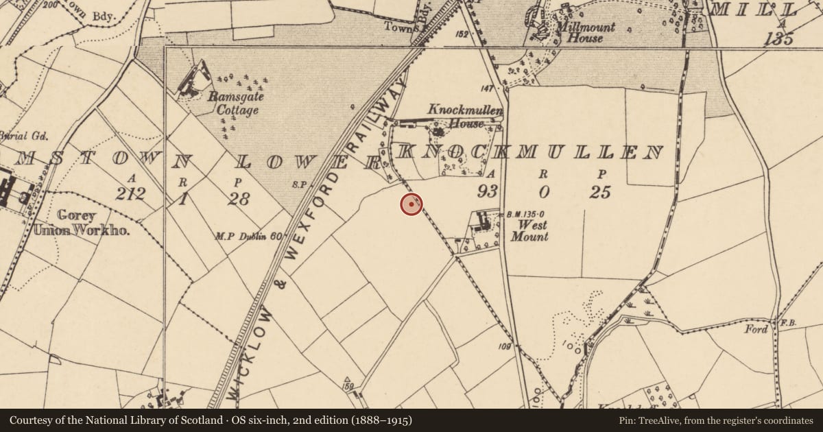 Ordnance Survey six-inch map, 2nd edition (1888–1915) covering the location of Burnt mound, Ramstown Lower, County Wexford, with a pin at the register's coordinates