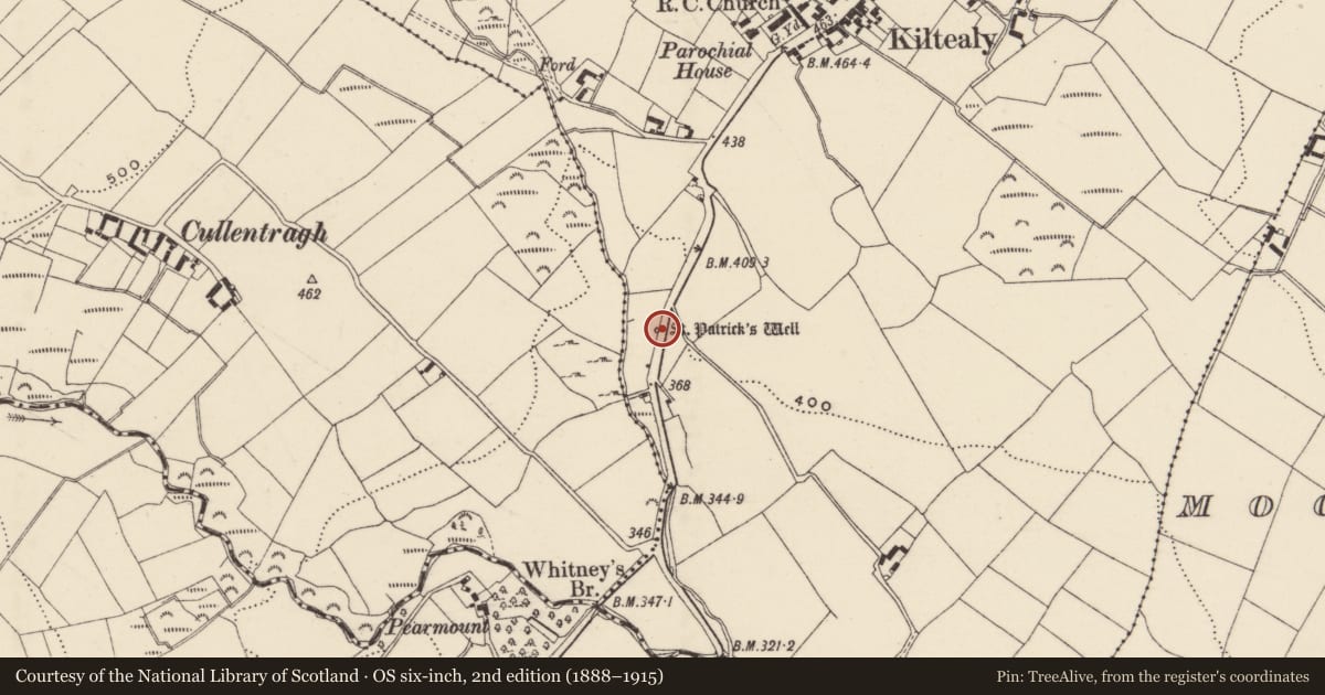 Ordnance Survey six-inch map, 2nd edition (1888–1915) covering the location of Ritual site - holy well, Kiltealy, County Wexford, with a pin at the register's coordinates