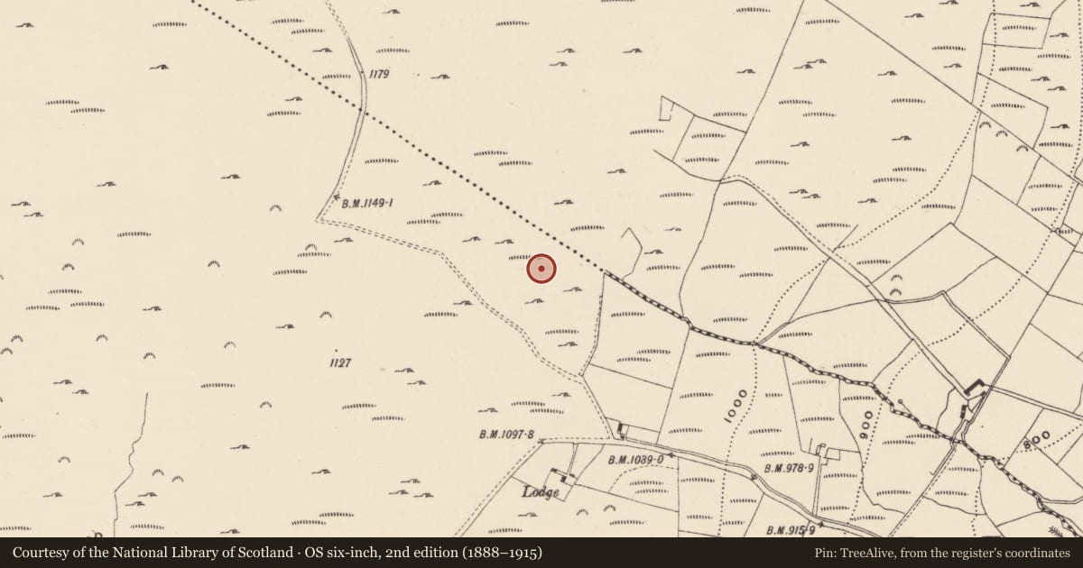 Ordnance Survey six-inch map, 2nd edition (1888–1915) covering the location of Standing stone - pair, Cloroge More, County Wexford, with a pin at the register's coordinates