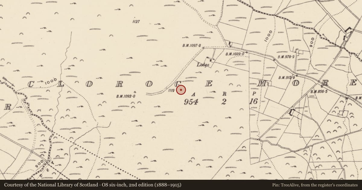 Ordnance Survey six-inch map, 2nd edition (1888–1915) covering the location of Standing stone, Cloroge More, County Wexford, with a pin at the register's coordinates