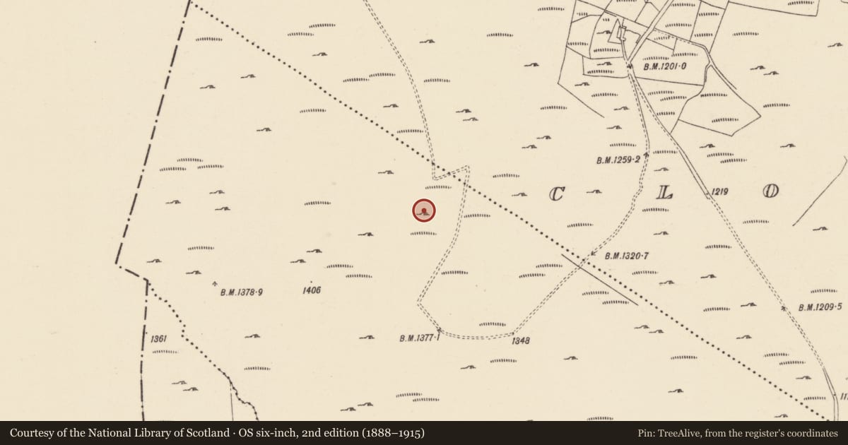 Ordnance Survey six-inch map, 2nd edition (1888–1915) covering the location of Structure, Cloroge More, County Wexford, with a pin at the register's coordinates