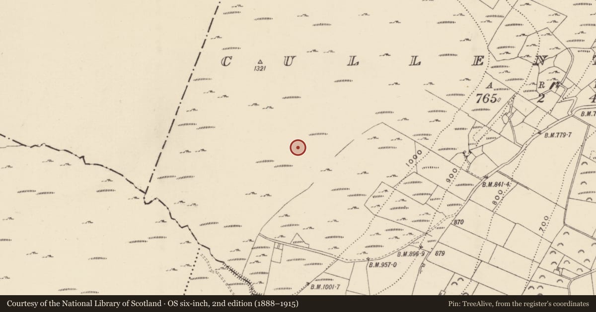 Ordnance Survey six-inch map, 2nd edition (1888–1915) covering the location of Hut site, Cullentragh, County Wexford, with a pin at the register's coordinates