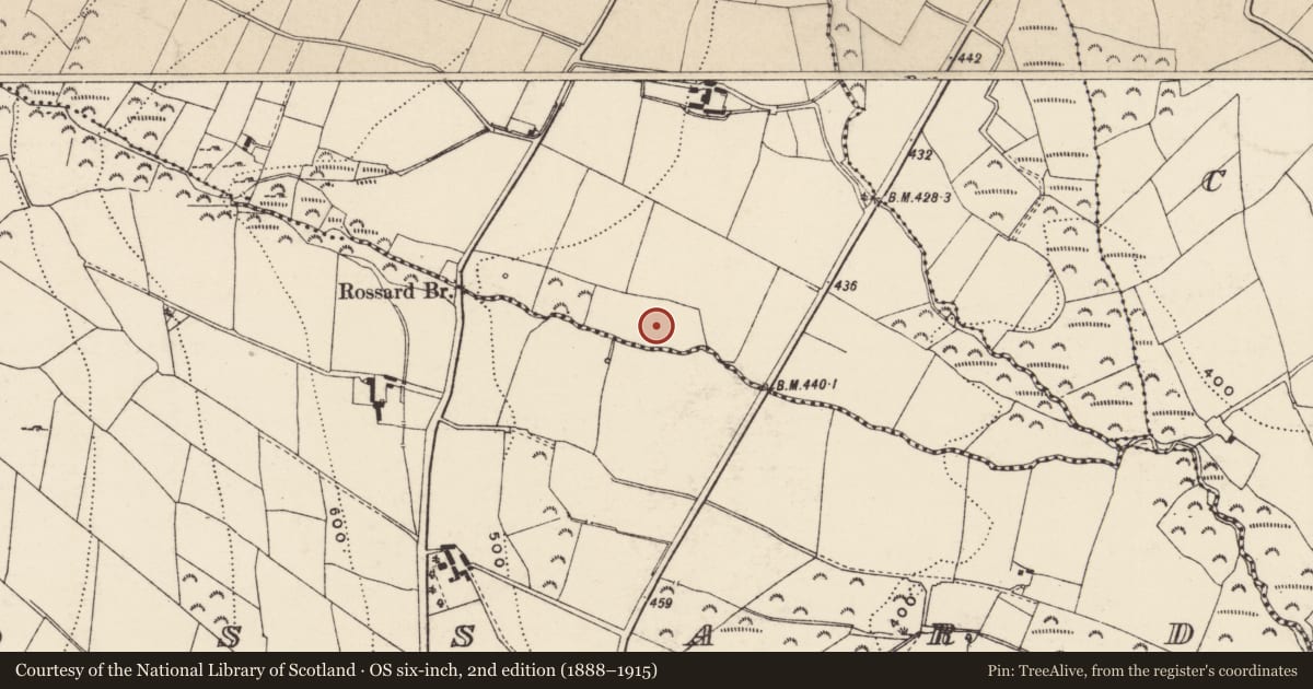 Ordnance Survey six-inch map, 2nd edition (1888–1915) covering the location of Moated site, Kyle, County Wexford, with a pin at the register's coordinates
