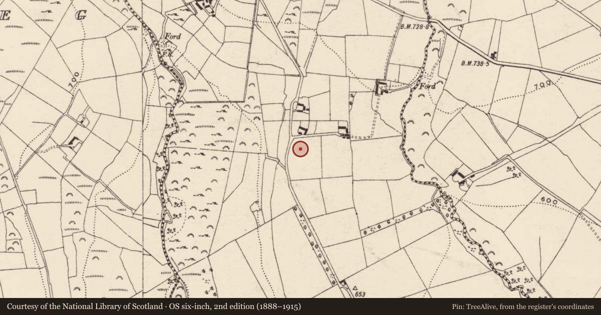 Ordnance Survey six-inch map, 2nd edition (1888–1915) covering the location of Enclosure, Ballycrystal, County Wexford, with a pin at the register's coordinates
