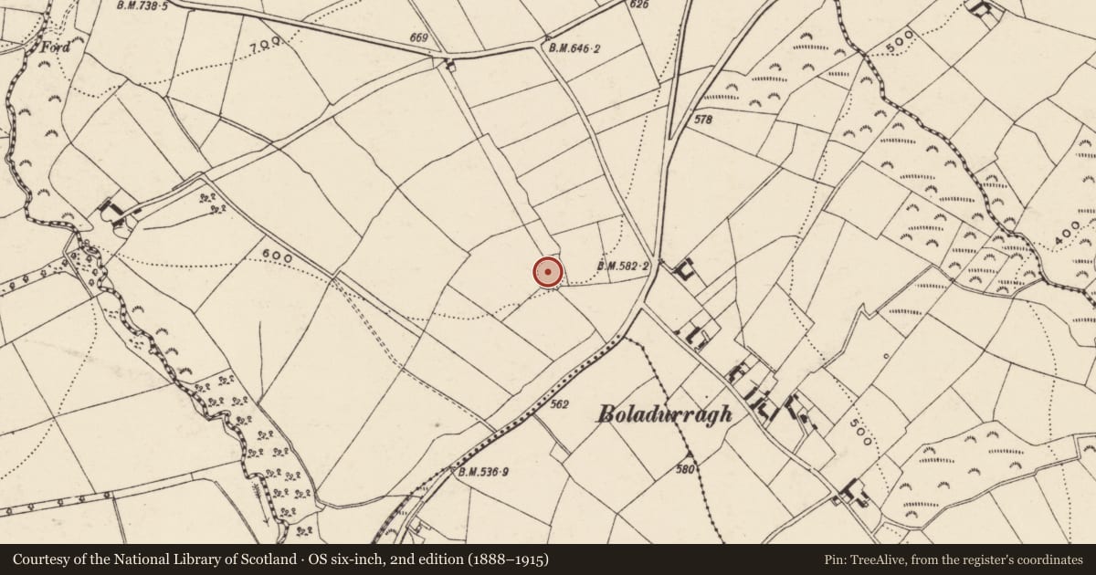 Ordnance Survey six-inch map, 2nd edition (1888–1915) covering the location of Ringfort - rath, Boladurragh, County Wexford, with a pin at the register's coordinates
