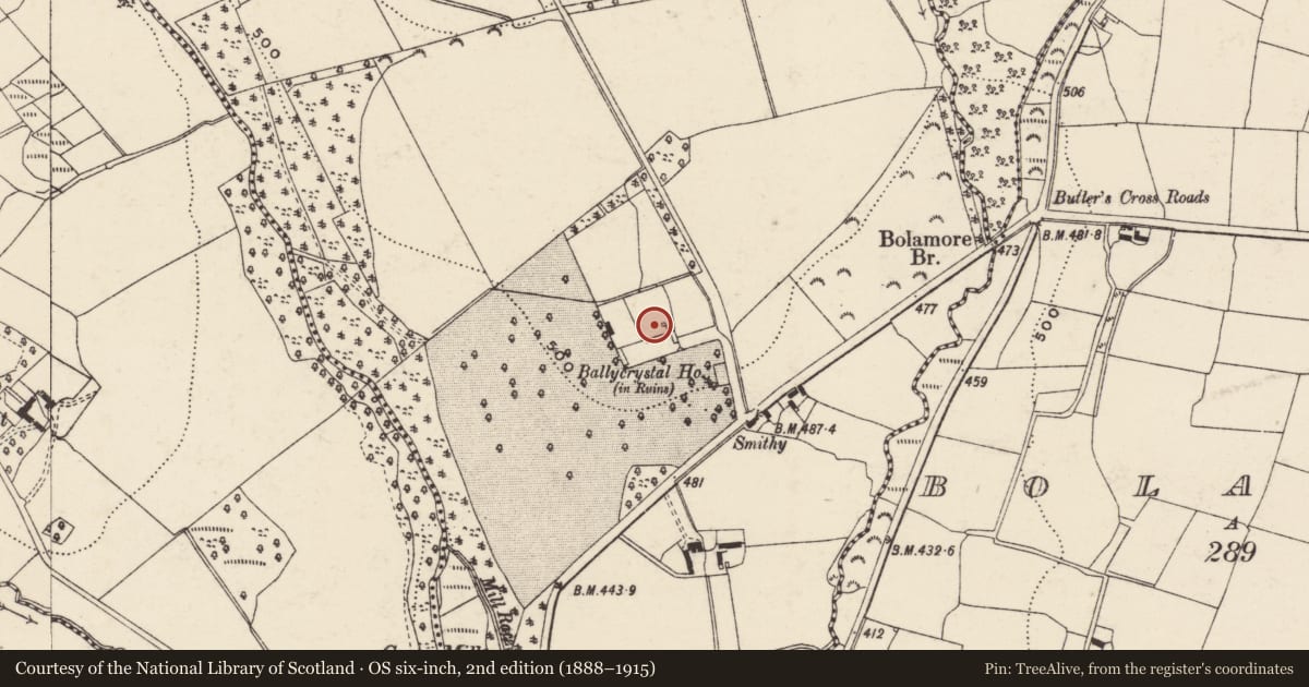 Ordnance Survey six-inch map, 2nd edition (1888–1915) covering the location of Ringfort - unclassified, Ballycrystal, County Wexford, with a pin at the register's coordinates