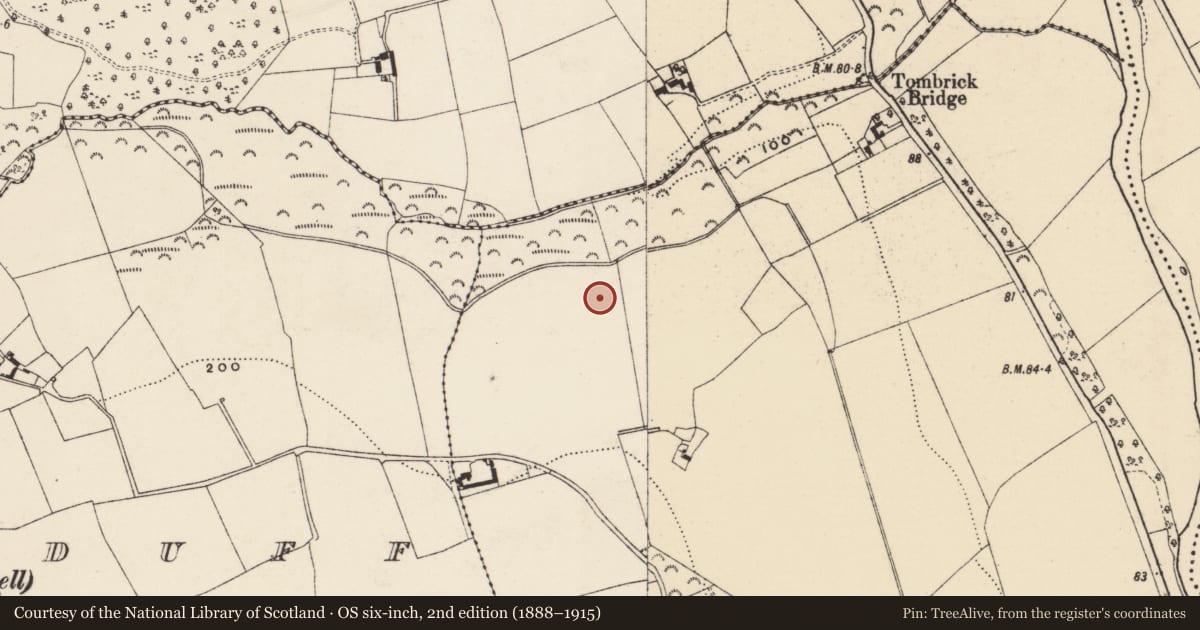 Ordnance Survey six-inch map, 2nd edition (1888–1915) covering the location of Moated site, Mountfin Lower Or Ballinturner, County Wexford, with a pin at the register's coordinates
