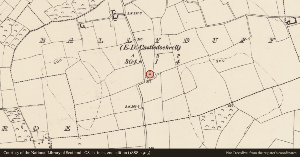 Ordnance Survey six-inch map, 2nd edition (1888–1915) covering the location of Ringfort - rath, Ballyduff, County Wexford, with a pin at the register's coordinates