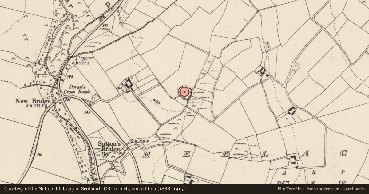 Ordnance Survey six-inch map, 2nd edition (1888–1915) covering the location of Ringfort - rath, Wheelagower, County Wexford, with a pin at the register's coordinates
