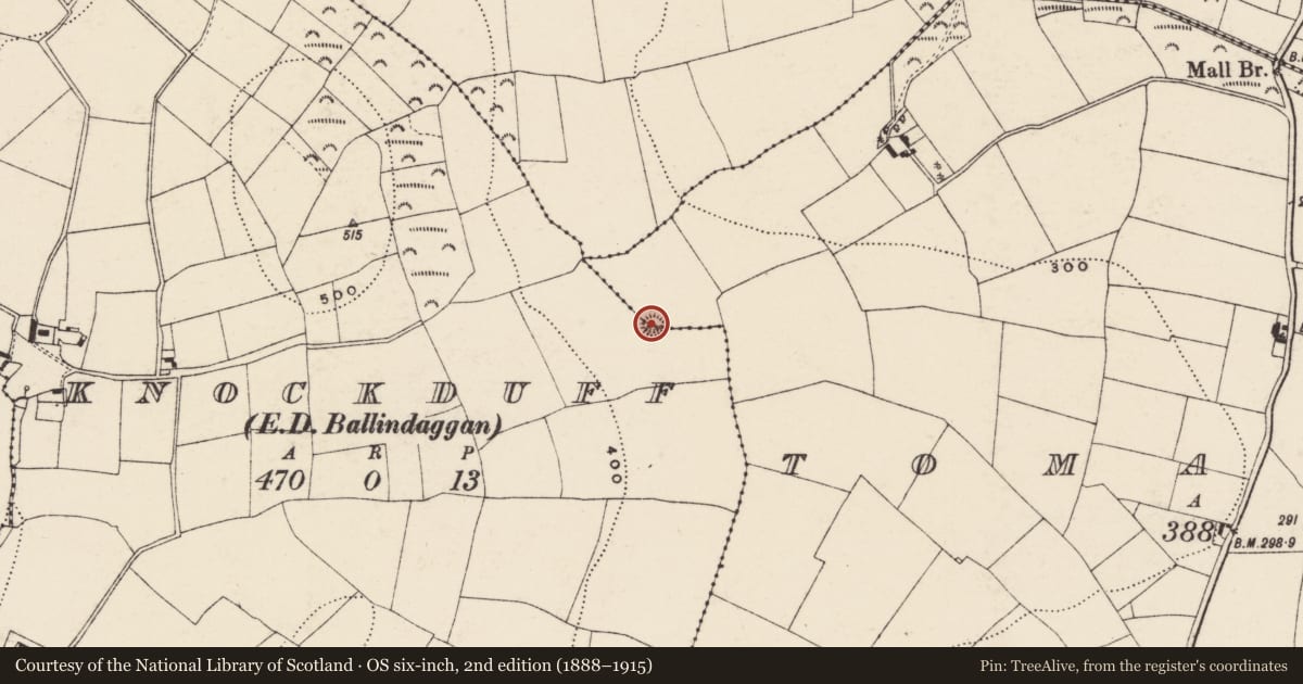 Ordnance Survey six-inch map, 2nd edition (1888–1915) covering the location of Ringfort - rath, Tomanoole, Knockduff, County Wexford, with a pin at the register's coordinates