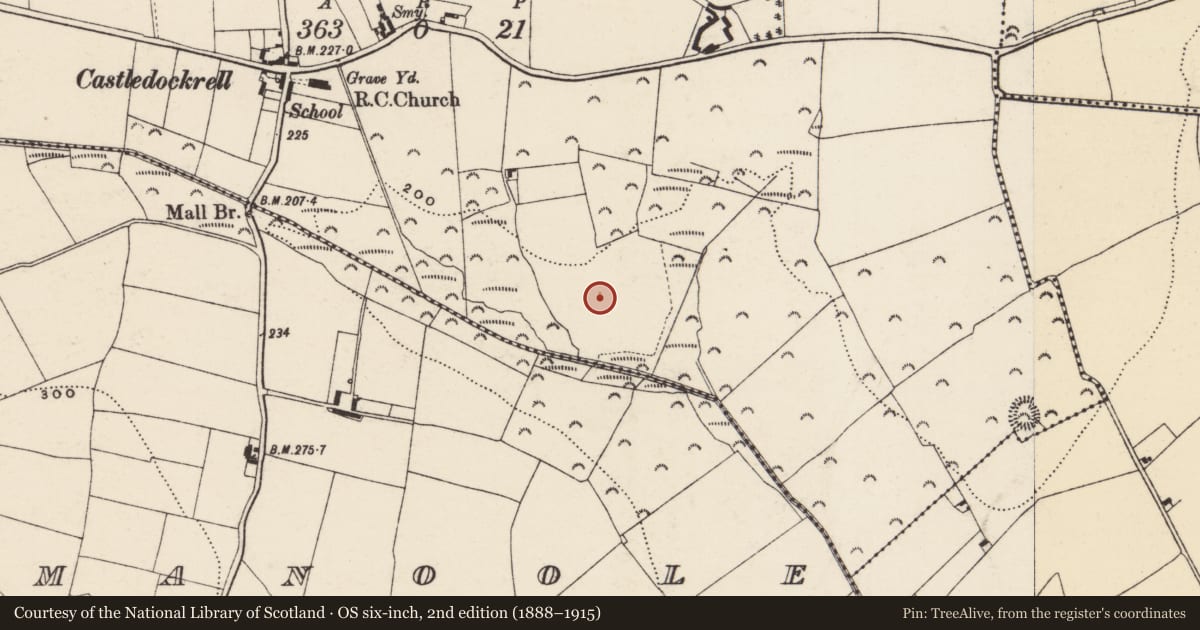 Ordnance Survey six-inch map, 2nd edition (1888–1915) covering the location of Ringfort - rath, Mountfin Upper, County Wexford, with a pin at the register's coordinates