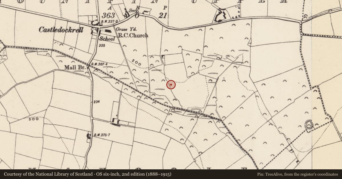 Ordnance Survey six-inch map, 2nd edition (1888–1915) covering the location of Ring-ditch, Mountfin Upper, County Wexford, with a pin at the register's coordinates