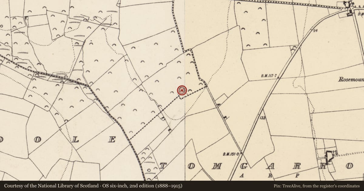 Ordnance Survey six-inch map, 2nd edition (1888–1915) covering the location of Ringfort - rath, Mountfin Upper, County Wexford, with a pin at the register's coordinates