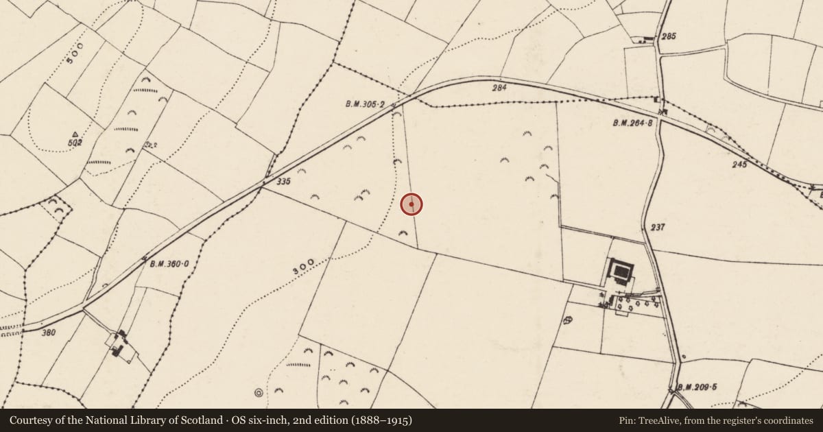 Ordnance Survey six-inch map, 2nd edition (1888–1915) covering the location of Ringfort - unclassified, Ballynakill, County Wexford, with a pin at the register's coordinates