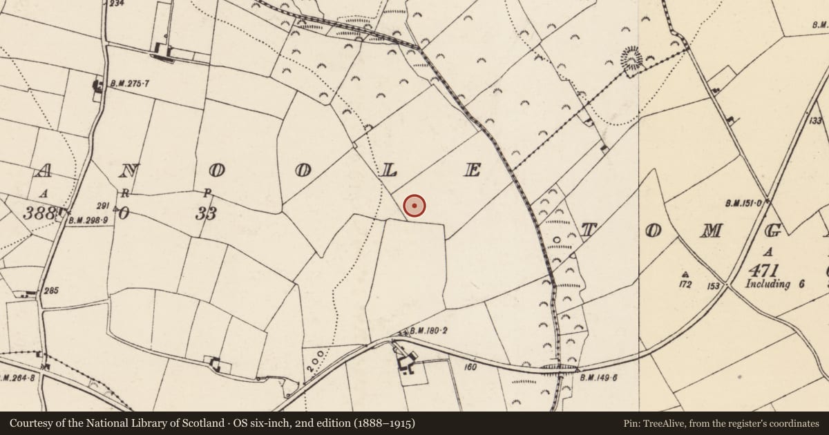 Ordnance Survey six-inch map, 2nd edition (1888–1915) covering the location of Ringfort - unclassified, Tomanoole, County Wexford, with a pin at the register's coordinates