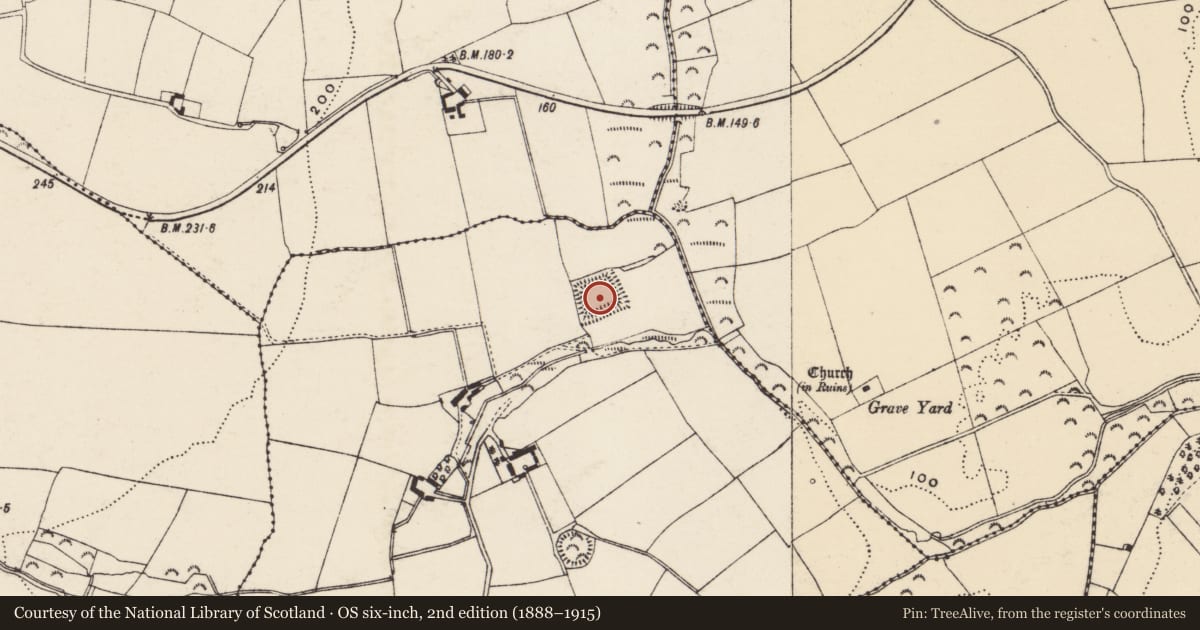 Ordnance Survey six-inch map, 2nd edition (1888–1915) covering the location of Moated site, Ballywilliamroe, County Wexford, with a pin at the register's coordinates