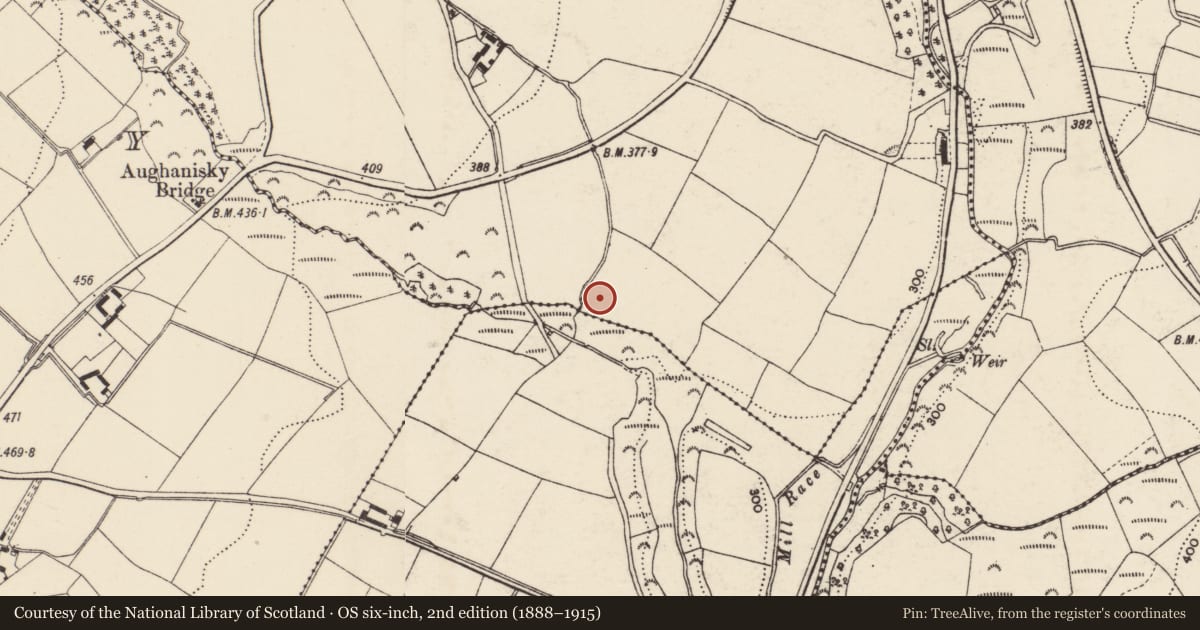 Ordnance Survey six-inch map, 2nd edition (1888–1915) covering the location of Ringfort - unclassified, Curraduff, County Wexford, with a pin at the register's coordinates