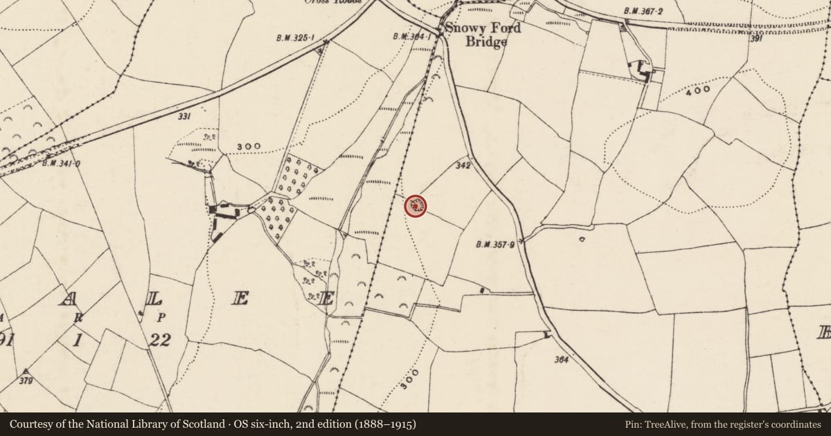 Ordnance Survey six-inch map, 2nd edition (1888–1915) covering the location of Ringfort - rath, Clonjordan, County Wexford, with a pin at the register's coordinates