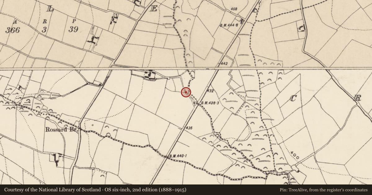 Ordnance Survey six-inch map, 2nd edition (1888–1915) covering the location of Bullaun stone, Kyle, County Wexford, with a pin at the register's coordinates