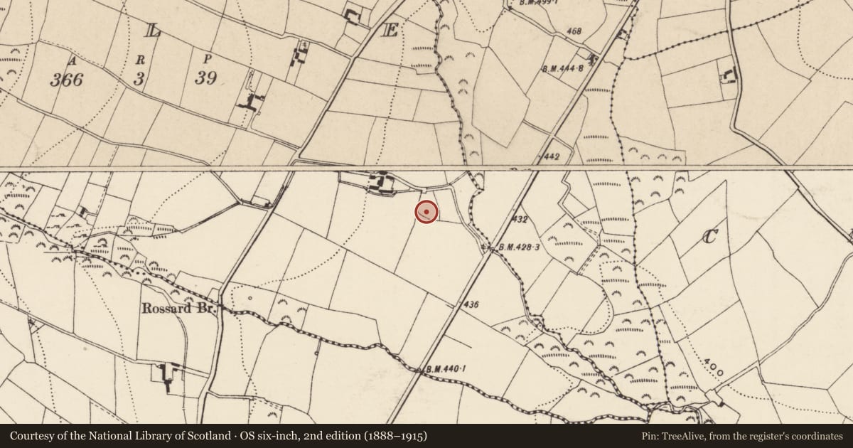 Ordnance Survey six-inch map, 2nd edition (1888–1915) covering the location of Burial ground, Kyle, County Wexford, with a pin at the register's coordinates