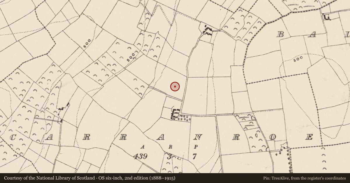 Ordnance Survey six-inch map, 2nd edition (1888–1915) covering the location of Ringfort - rath, Carranroe, County Wexford, with a pin at the register's coordinates