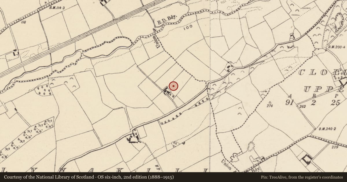 Ordnance Survey six-inch map, 2nd edition (1888–1915) covering the location of Ringfort - rath, Ballynakill, County Wexford, with a pin at the register's coordinates