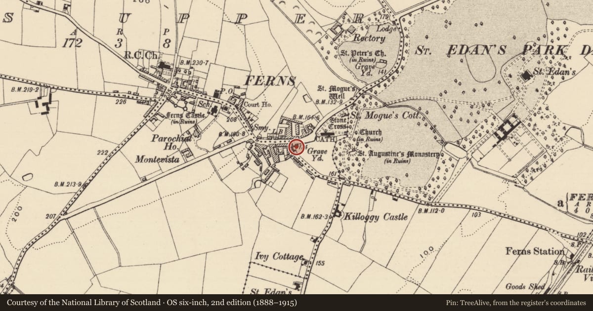 Ordnance Survey six-inch map, 2nd edition (1888–1915) covering the location of Historic town, County Wexford, with a pin at the register's coordinates