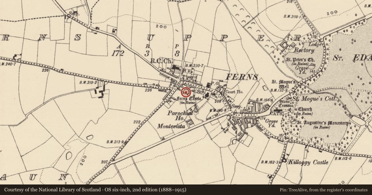 Ordnance Survey six-inch map, 2nd edition (1888–1915) covering the location of Castle - Anglo-Norman masonry castle, Castleland, County Wexford, with a pin at the register's coordinates