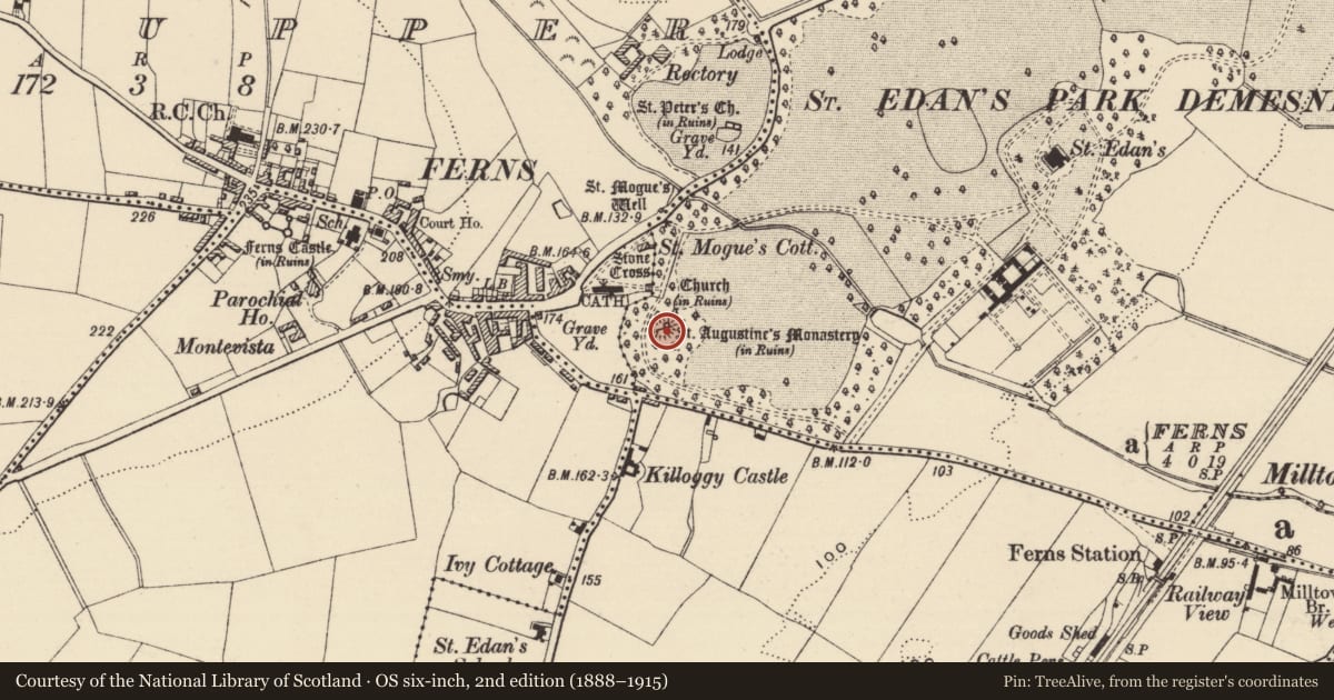 Ordnance Survey six-inch map, 2nd edition (1888–1915) covering the location of Religious house - Augustinian canons, Ferns Demesne, County Wexford, with a pin at the register's coordinates