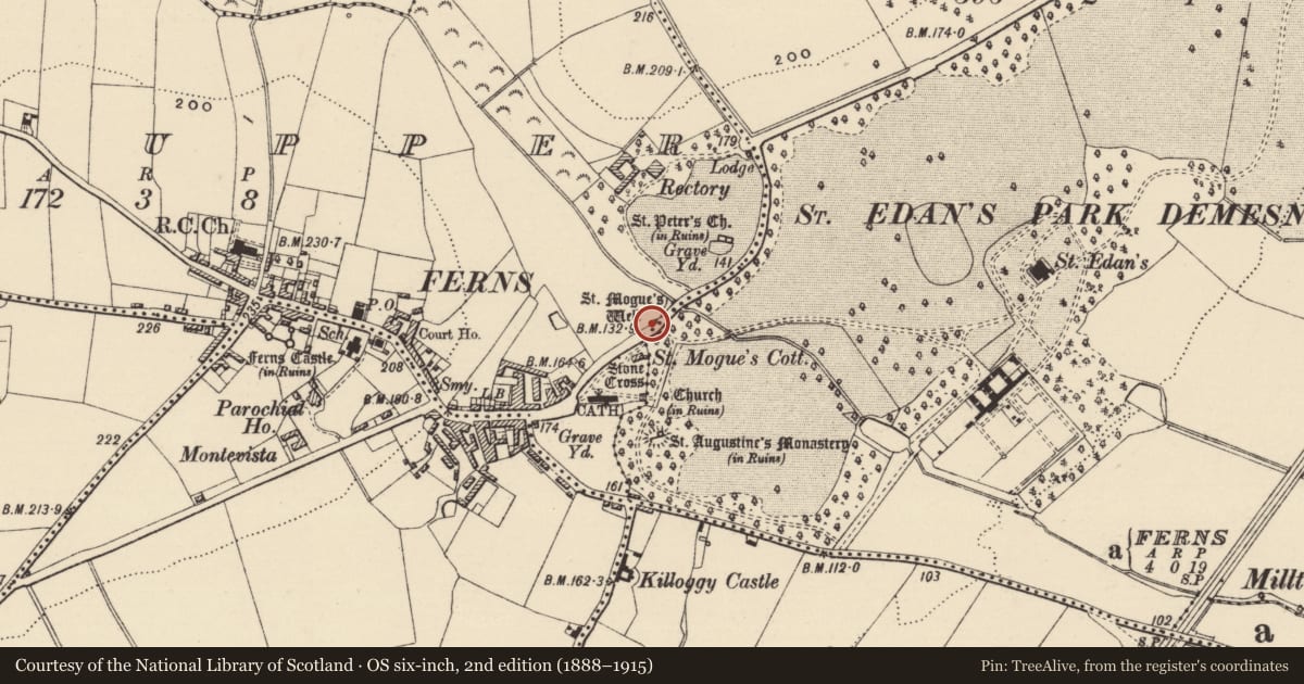 Ordnance Survey six-inch map, 2nd edition (1888–1915) covering the location of Ritual site - holy well, Ferns Upper, County Wexford, with a pin at the register's coordinates