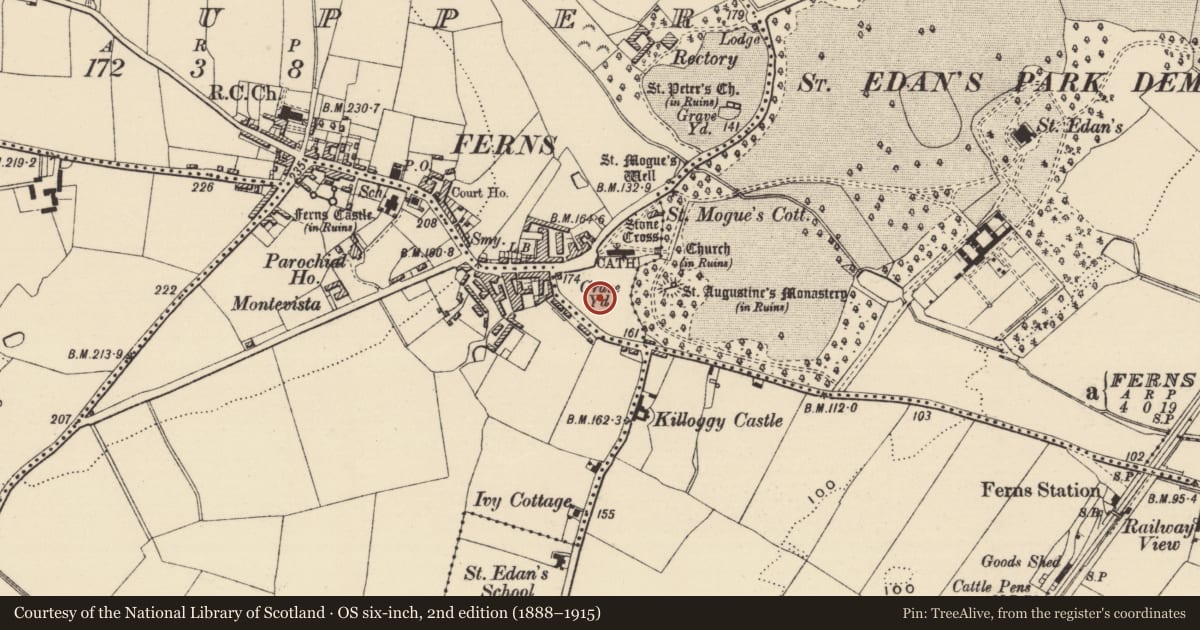 Ordnance Survey six-inch map, 2nd edition (1888–1915) covering the location of Graveyard, Ferns Upper, County Wexford, with a pin at the register's coordinates