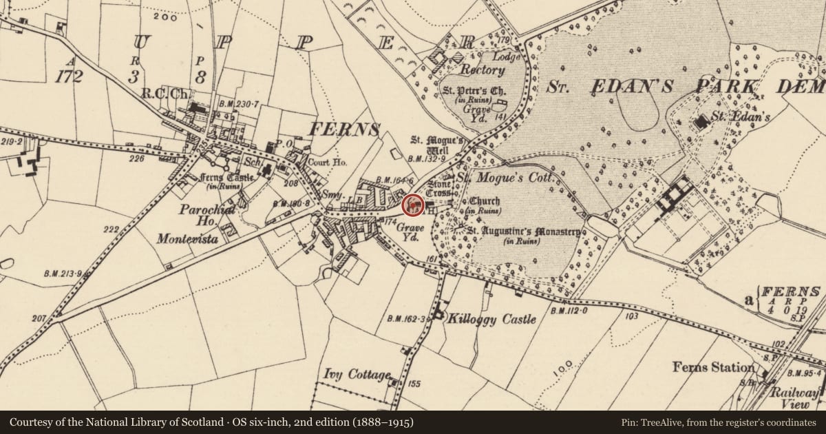 Ordnance Survey six-inch map, 2nd edition (1888–1915) covering the location of Cross - High cross, Ferns Upper, County Wexford, with a pin at the register's coordinates