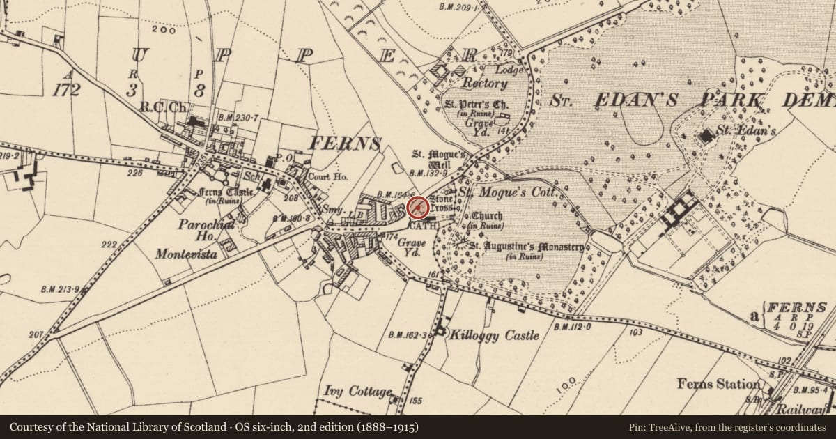 Ordnance Survey six-inch map, 2nd edition (1888–1915) covering the location of Cross - High cross, Ferns Upper, County Wexford, with a pin at the register's coordinates