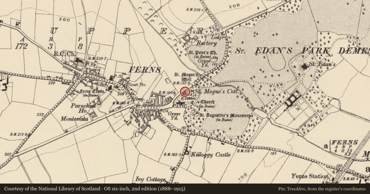 Ordnance Survey six-inch map, 2nd edition (1888–1915) covering the location of Cross - High cross, Ferns Upper, County Wexford, with a pin at the register's coordinates