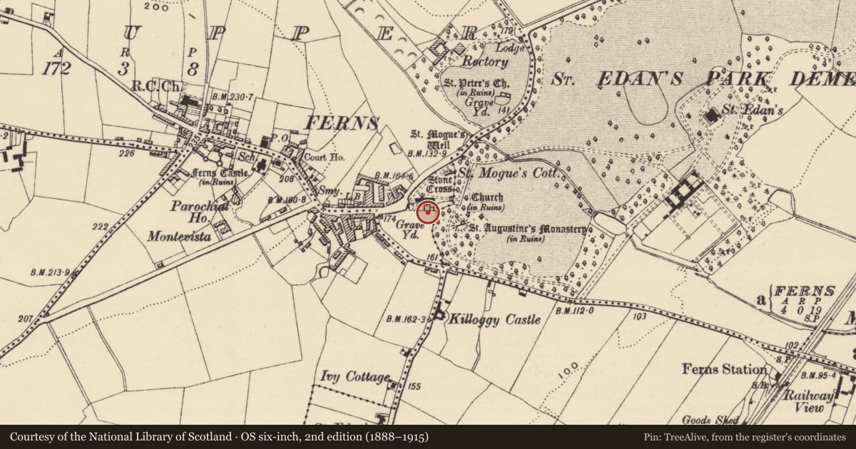 Ordnance Survey six-inch map, 2nd edition (1888–1915) covering the location of Cross - High cross, Ferns Upper, County Wexford, with a pin at the register's coordinates