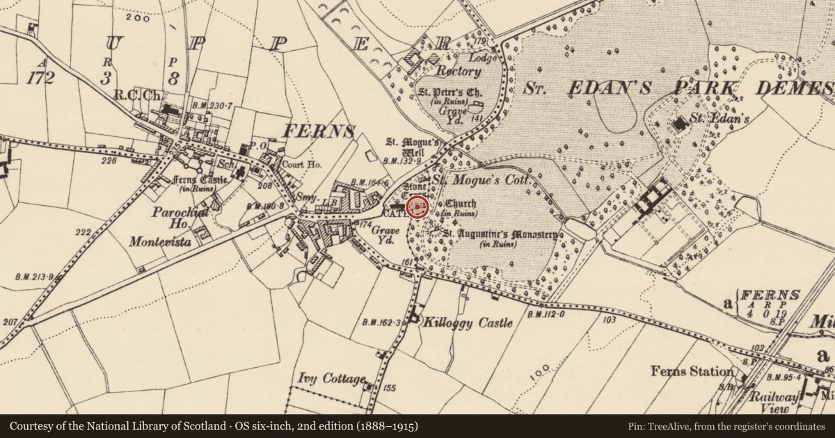 Ordnance Survey six-inch map, 2nd edition (1888–1915) covering the location of Cross-slab, Ferns Upper, County Wexford, with a pin at the register's coordinates