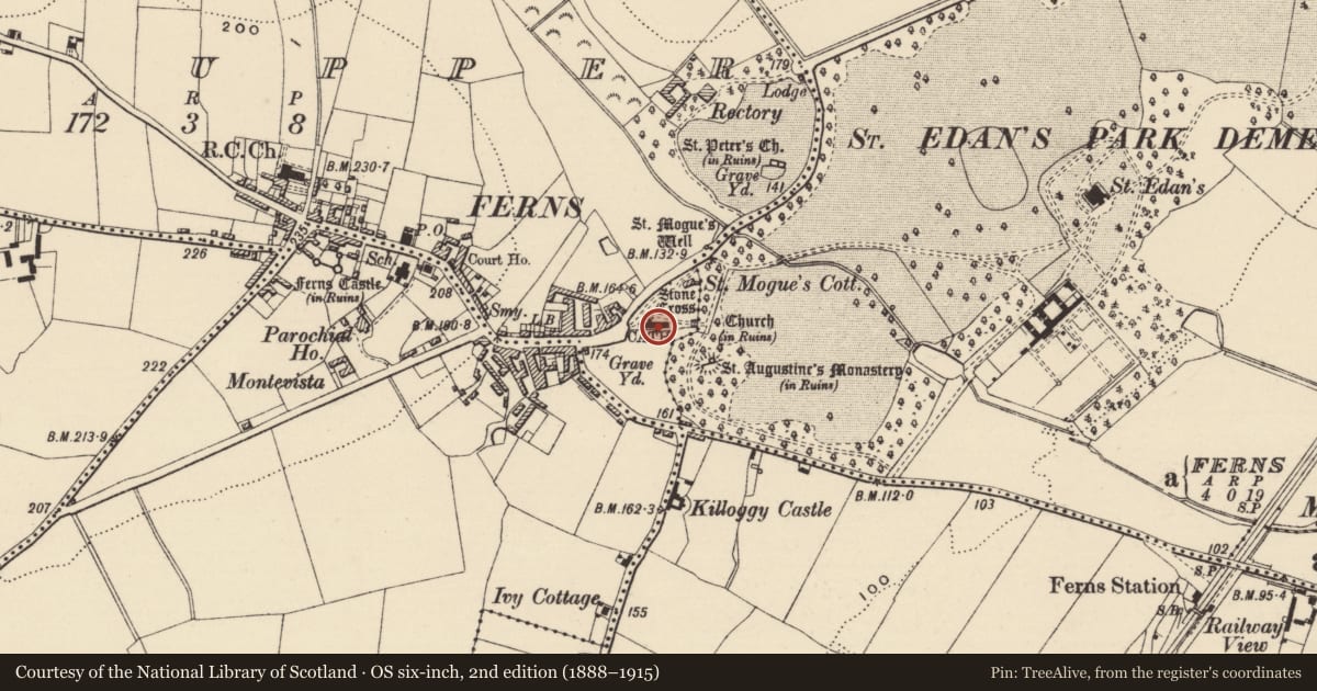 Ordnance Survey six-inch map, 2nd edition (1888–1915) covering the location of Tomb - effigial, Ferns Upper, County Wexford, with a pin at the register's coordinates