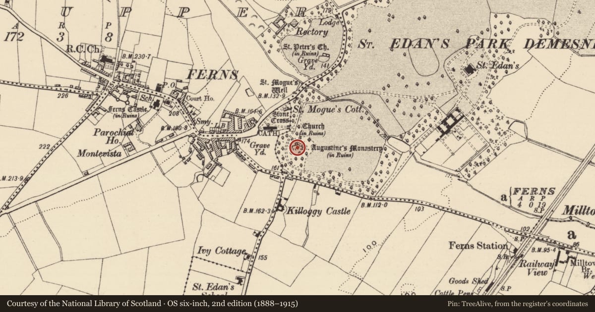 Ordnance Survey six-inch map, 2nd edition (1888–1915) covering the location of Cross, Ferns Demesne, County Wexford, with a pin at the register's coordinates