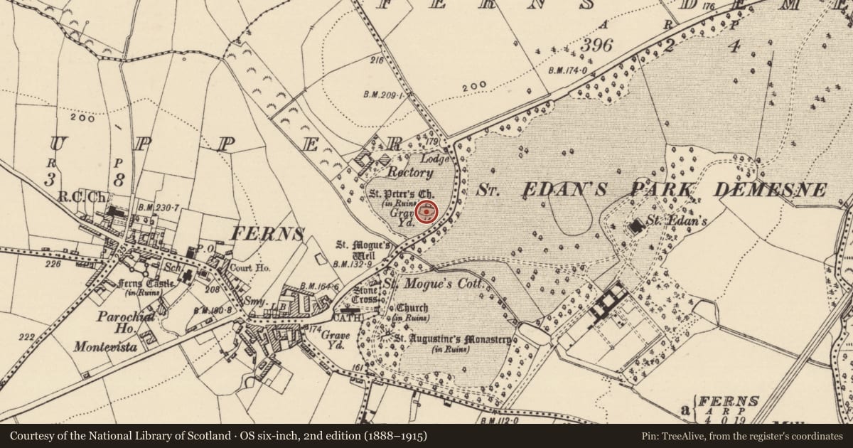 Ordnance Survey six-inch map, 2nd edition (1888–1915) covering the location of Graveyard, Ferns Upper, County Wexford, with a pin at the register's coordinates