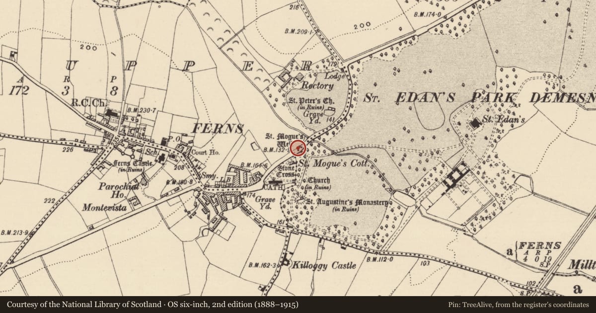Ordnance Survey six-inch map, 2nd edition (1888–1915) covering the location of Stone head (present location), Ferns Upper, County Wexford, with a pin at the register's coordinates