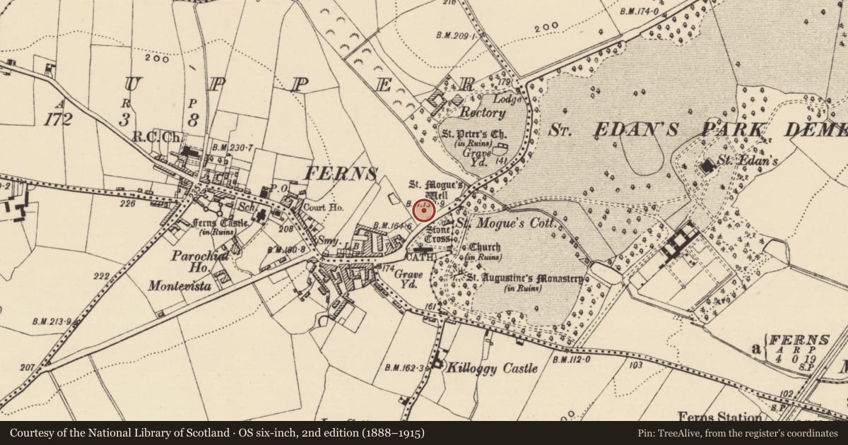 Ordnance Survey six-inch map, 2nd edition (1888–1915) covering the location of Excavation - miscellaneous, Ferns Upper, County Wexford, with a pin at the register's coordinates