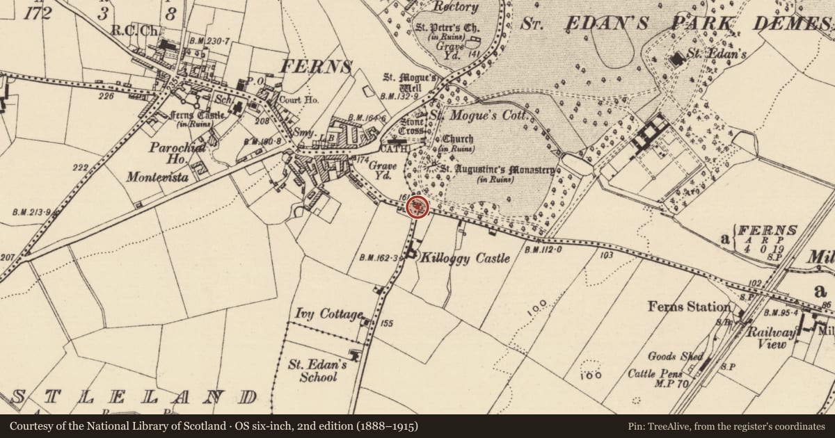 Ordnance Survey six-inch map, 2nd edition (1888–1915) covering the location of Excavation - miscellaneous, Ferns Demesne, County Wexford, with a pin at the register's coordinates