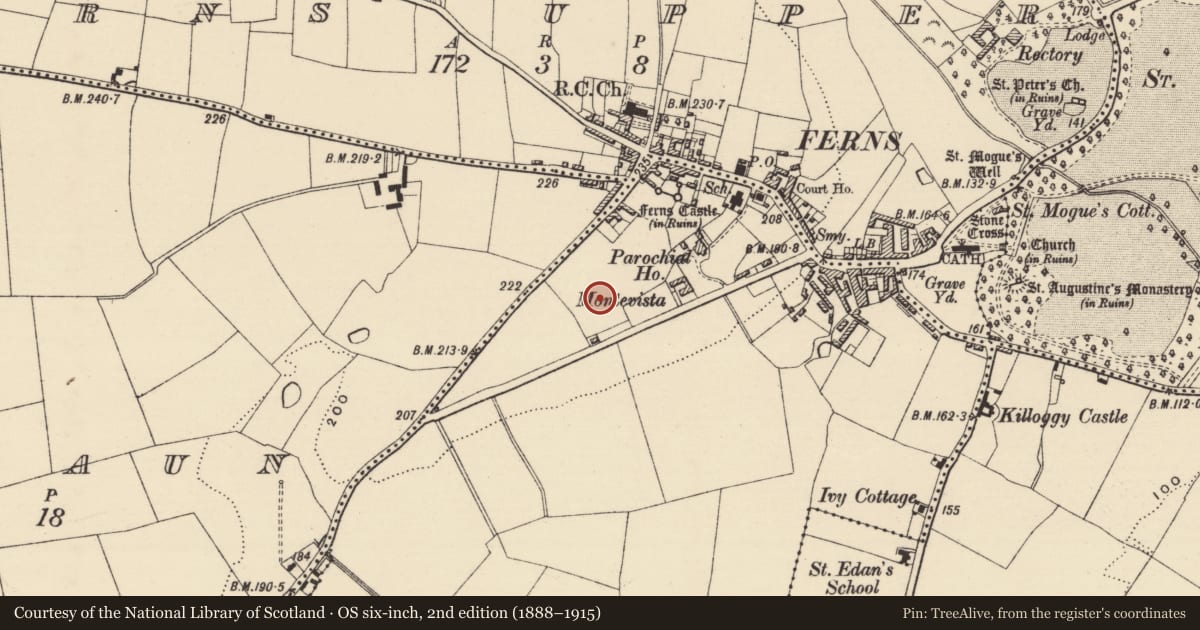 Ordnance Survey six-inch map, 2nd edition (1888–1915) covering the location of Excavation - miscellaneous, Castleland, County Wexford, with a pin at the register's coordinates