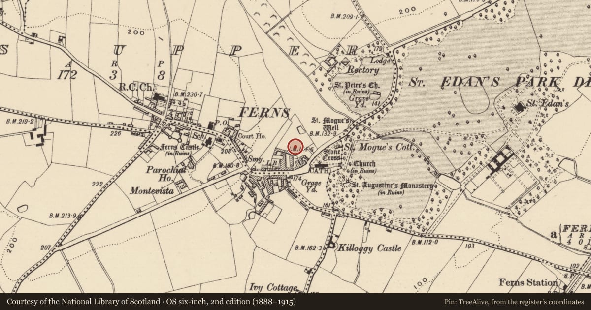 Ordnance Survey six-inch map, 2nd edition (1888–1915) covering the location of Flat cemetery, Ferns Upper, County Wexford, with a pin at the register's coordinates