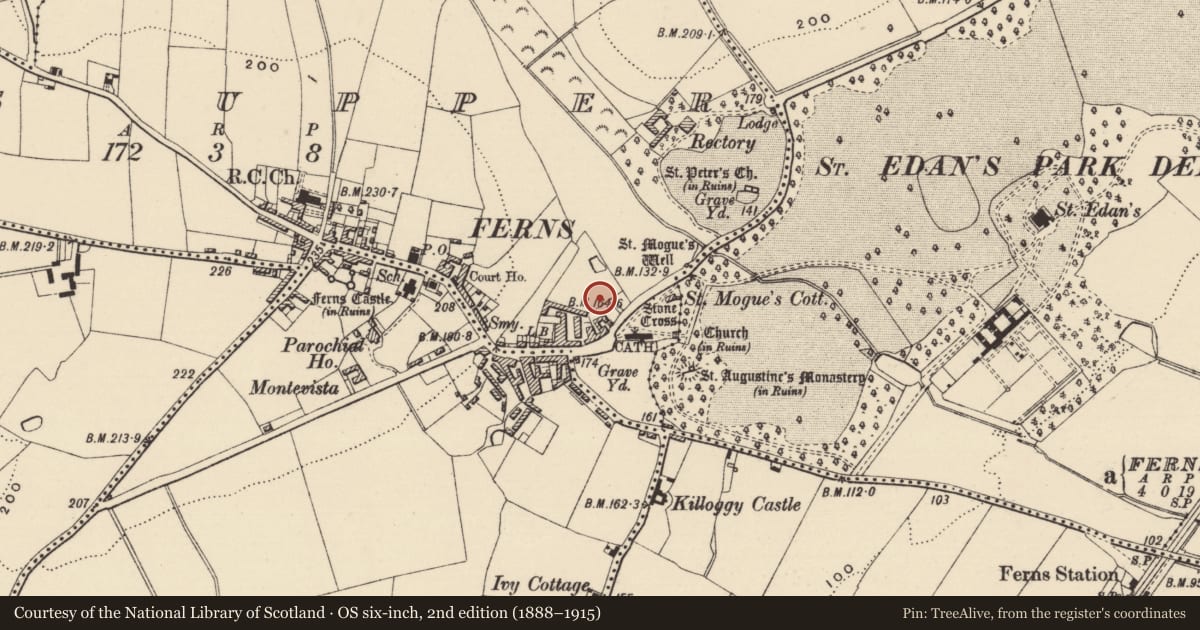Ordnance Survey six-inch map, 2nd edition (1888–1915) covering the location of Hut site, Ferns Upper, County Wexford, with a pin at the register's coordinates