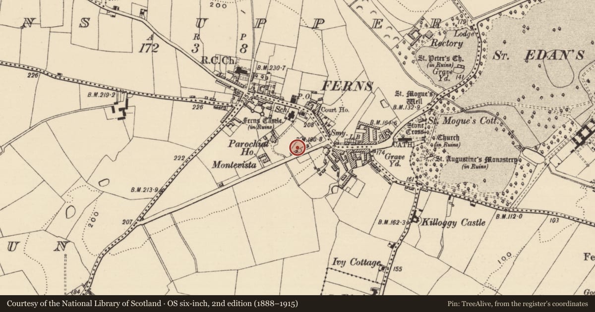 Ordnance Survey six-inch map, 2nd edition (1888–1915) covering the location of Excavation - miscellaneous, Castleland, County Wexford, with a pin at the register's coordinates