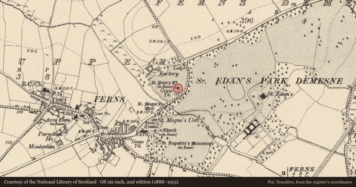 Ordnance Survey six-inch map, 2nd edition (1888–1915) covering the location of Architectural feature, Ferns Upper, County Wexford, with a pin at the register's coordinates