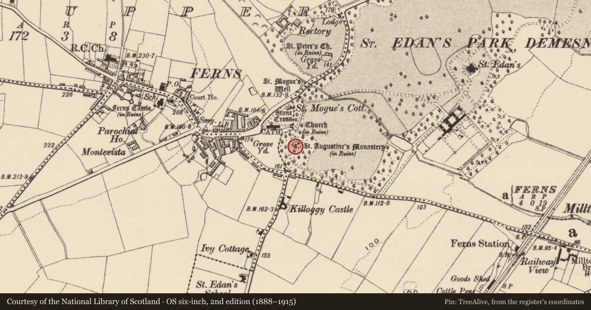 Ordnance Survey six-inch map, 2nd edition (1888–1915) covering the location of Round tower, Ferns Demesne, County Wexford, with a pin at the register's coordinates